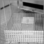 CleanLine 2000 EX | basket variations for the basins CleanLine 2000 EX | basket variations for the basins